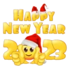 New Year 16