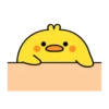 [Animation] Plump Little Chick 2 23