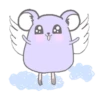 Purple hamster Teddy (Mov) 29