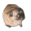 Bons adesivos 30