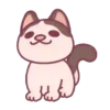 🐕🐱🦮PetS🐈🐻🐩 6