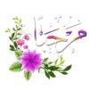 Arabic Stickers 3