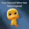 Meme pack 6