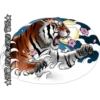Tigre 8