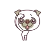 Good Luck Pug MOV. 8