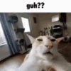 Meme pack 7