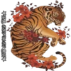 Tigre 9
