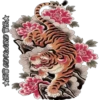 Tigre 10