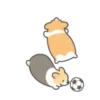 ️Football Corgi MOV. 5