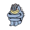 247 Pokémon 10