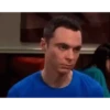 The Big Bang Theory 9