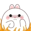 🐰🥕Chonky Rabbit MOV.💖🐇 6