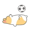 ️Football Corgi MOV. 6