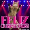 Cats🐱⛧1🇪🇸Movi 8