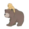 🐕🐱🦮PetS🐈🐻🐩 10