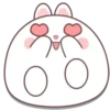🐰🥕Chonky Rabbit MOV.💖🐇 7