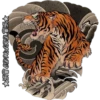 Tigre 12