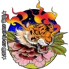 Tigre 13
