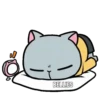 AnGrY CaT (Mov) 11