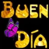 Feliz día🐬1🇨🇷Movi 9