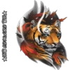 Tigre 14