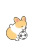 ️Football Corgi MOV. 7