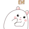 🐰🥕Chonky Rabbit MOV.💖🐇 8