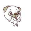 Good Luck Pug MOV. 12