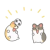 ️Football Corgi MOV. 8
