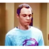 The Big Bang Theory 17