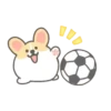 ️Football Corgi MOV. 9