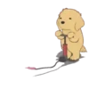 🐕🐱🦮PetS🐈🐻🐩 11