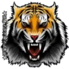 Tigre 15