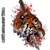 Tigre 16