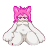 Gatita animada 1 🐱MOV. 🇲🇽 10