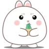 🐰🥕Chonky Rabbit MOV.💖🐇 11