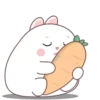 🐰🥕Chonky Rabbit MOV.💖🐇 13