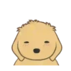 🐕🐱🦮PetS🐈🐻🐩 13