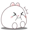 🐰🥕Chonky Rabbit MOV.💖🐇 14