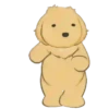 🐕🐱🦮PetS🐈🐻🐩 16