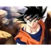 Pako. Goku King 15