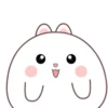 🐰🥕Chonky Rabbit MOV.💖🐇 15