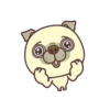Good Luck Pug MOV. 18