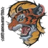 Tigre 22
