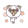 Good Luck Pug MOV. 19