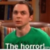 The Big Bang Theory 22