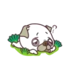 Good Luck Pug MOV. 21
