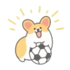 ️Football Corgi MOV. 20