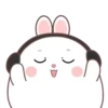 🐰🥕Chonky Rabbit MOV.💖🐇 19
