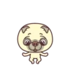 Good Luck Pug MOV. 22